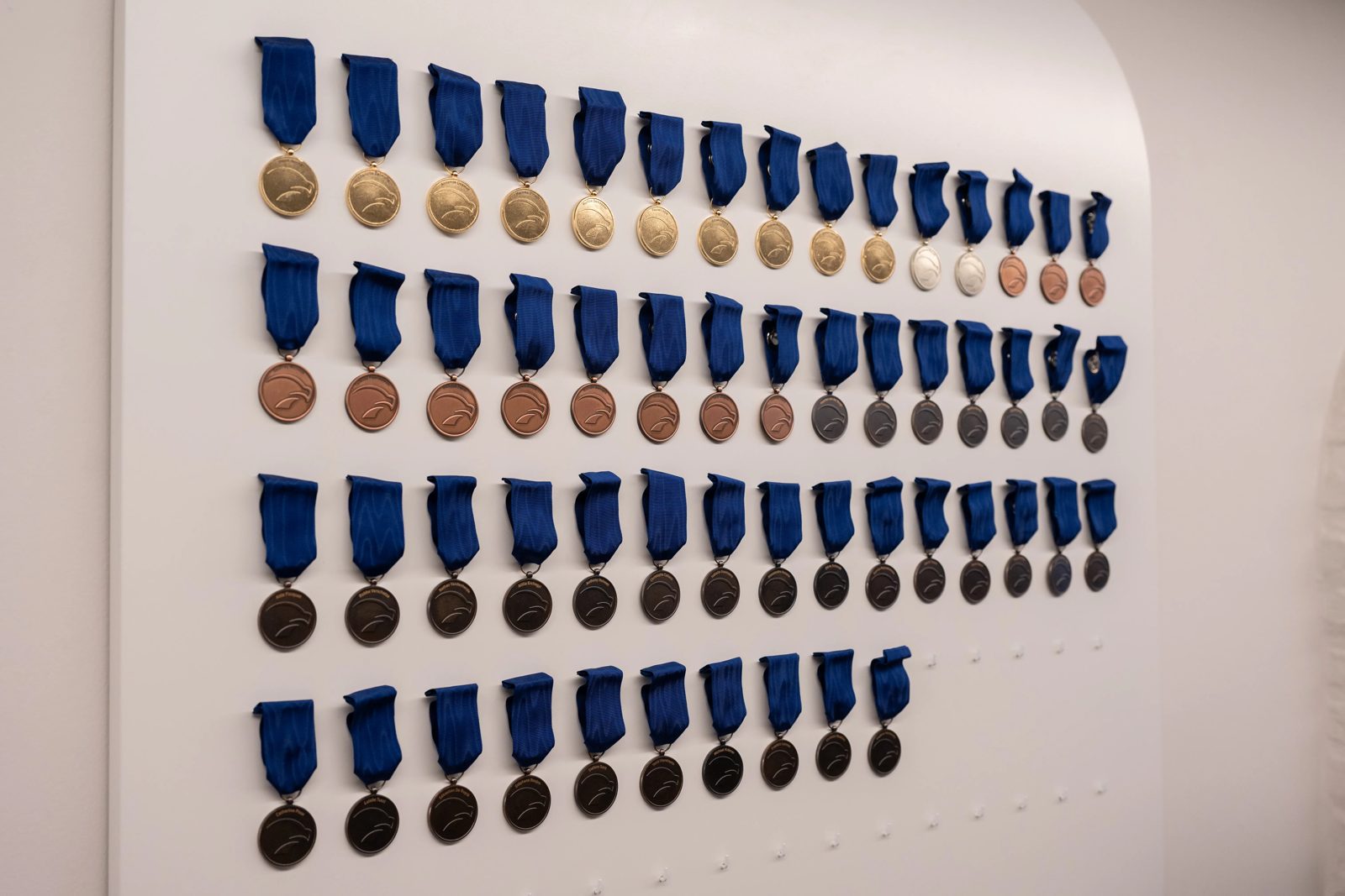 The Falcon medal wall