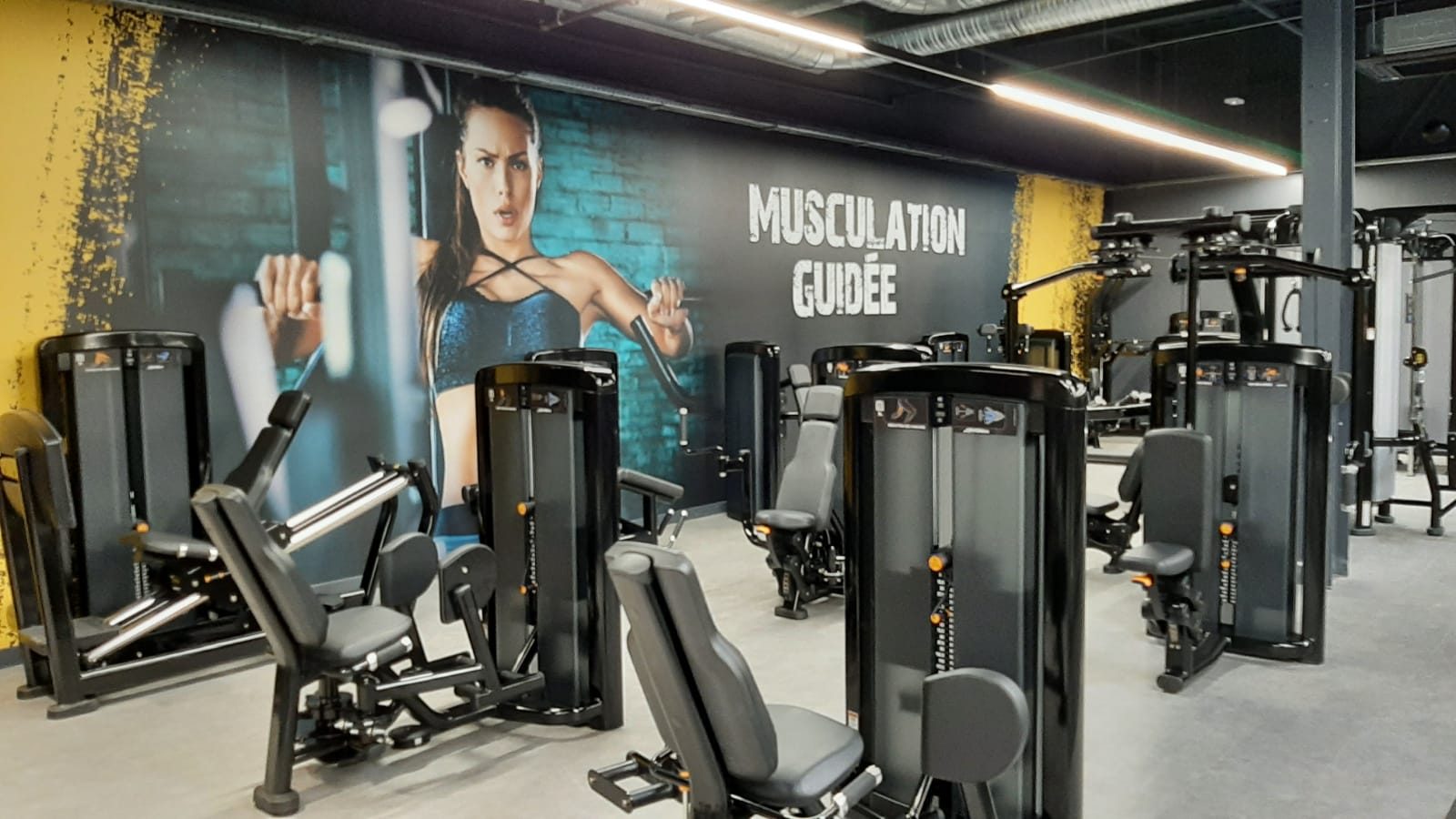 Fitness Park